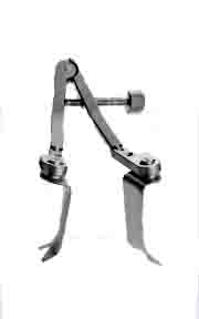 CASPAR CERCİVAL EKARTÖR